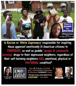 racism drug_peddlers dr nadine butke harris.webp