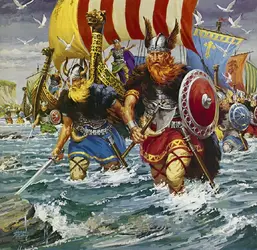 vikings1.webp