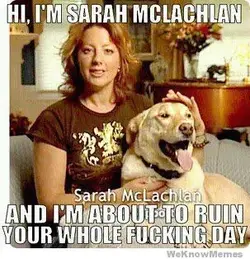 hi-im-sarah-mclaughlin.webp