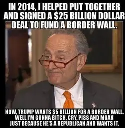 border wall schumer.webp