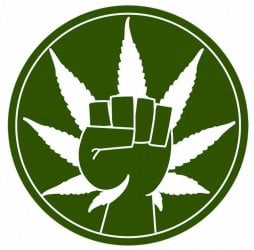$marijuana-legalization-news1-750x739.jpg
