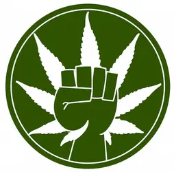 $marijuana-legalization-news1-750x739.webp