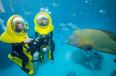 Roatan Island divers.jpg