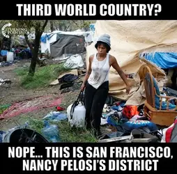 Pelosi's America.webp