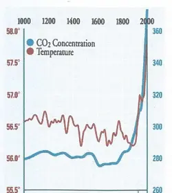 co2.webp