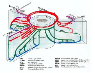 THermolineCirculationAntarctichubpic_zpsd39d4625.webp