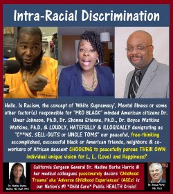 Umar Johnson, Boyce Watkins, Shonna Etienne, Racial Discrimination.jpg