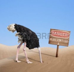 33921670-scared-ostrich-burying-head-in-sand-under-danger-sign.jpg