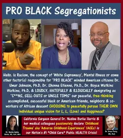 Dr. Umar Johnson, Dr. Boyce Watkins, Dr. Shonna Etienne, SEGREGATION.webp