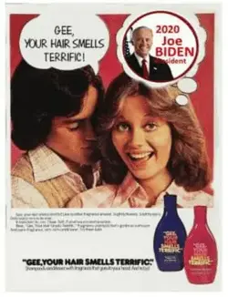 thumb_gee-your-hair-smells-terrific-2020-joe-biden-ident-gee-your-47093489.webp