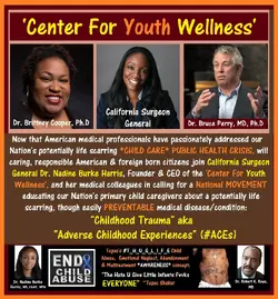 Brittney Cooper, Dr Nadine Burke Harris, Dr Bruce Perry.webp