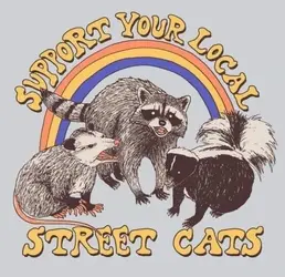 F36E0EC1-5425-40C7-88EA-6780D75C00CF.webp F36E0EC1-5425-40C7-88EA-6780D75C00CF.webp