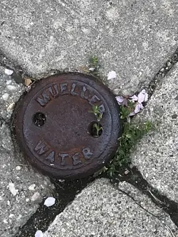 Mueller water plug.webp