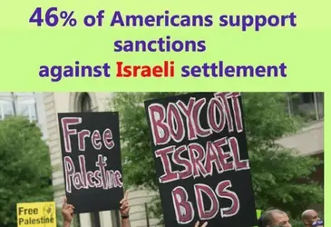 Poster  about US Support for BDS.webp