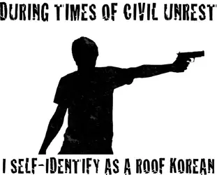 roof korean.webp