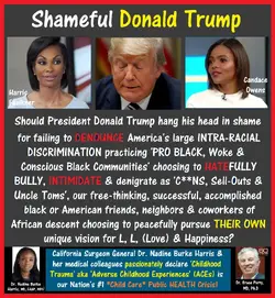 donald trump, SHAME, harris faulkner, candace owens.webp