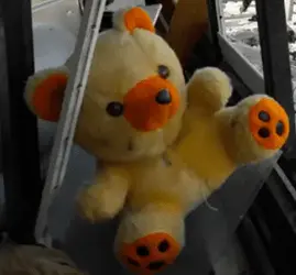 Arab Palestinian Bear.webp