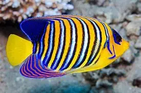 Angels of Cancun.webp