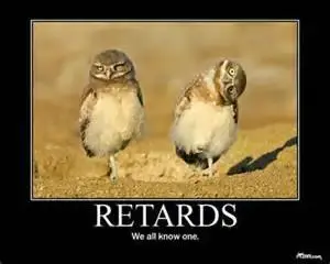 retard owl.webp