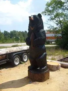 e9659b25bd84511d7db983b6d09cb292--face-book-black-bear.webp