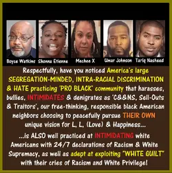 _BLANK NOTICED PRO BLACK HATE.webp