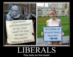 Islam-liberals.jpg