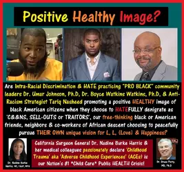 Dr. Umar Johnson Ph.D, Dr. Boyce Watkins Ph.D, Tariq Nasheed7.webp