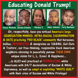 Donald Trump, EDUCATING PRO BLACK HATE.png