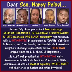 Nancy Pelos, NOTICED PRO BLACK HATE.webp