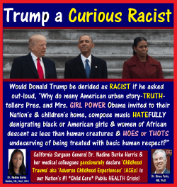 Trump Curious Racist_02.png