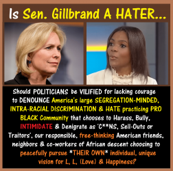 Kirsten Gillbrand, Politicians, Candace Owens, VILIFY.png