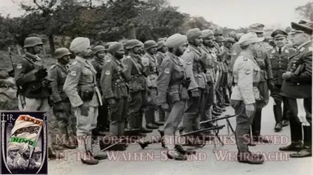 Non-white Nazis 2.webp