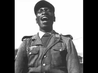 Non-white Nazis 5.webp