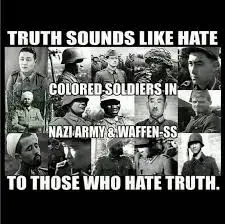 Non-white Nazis 8.webp