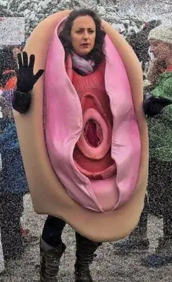 vaginacostume-341x560.webp