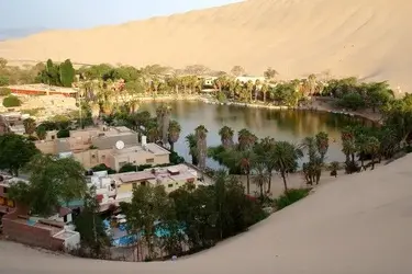 oasis.webp