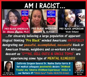 Am_I_Racist, Mehcee X, Vicki Dillard, Shonna Ettienne ext.webp
