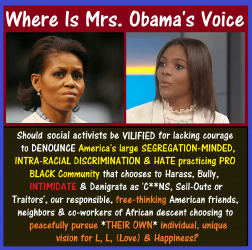 Michelle Obama, Social Activist,, Candace Owens, VILIFY.png