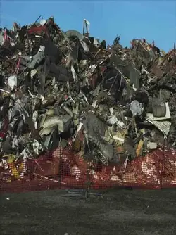 city park debris 2.webp