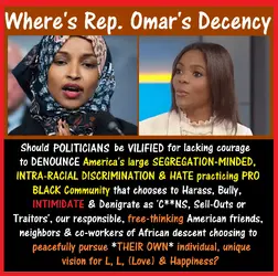 Ilhan Omar, Politicians, Candace Owens, VILIFY.webp