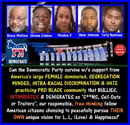 Democrat Party Survival, PRO BLACK.webp