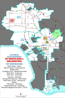 LA Gangs - Los Angeles Police Department.webp