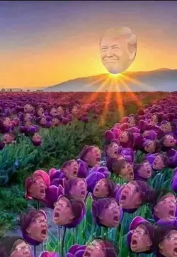 morning.webp morning.webp