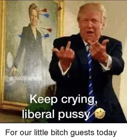 odanktrumpmeme-keep-crying-liberal-pussyv-for-our-little-*****-guests-40434722.webp