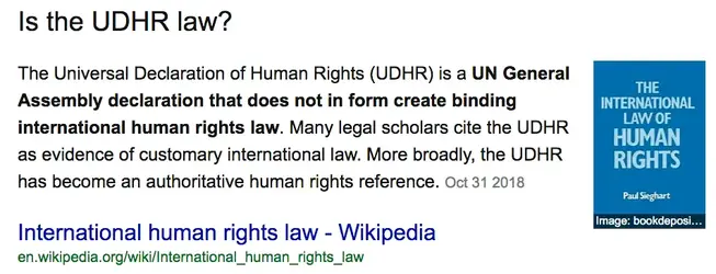 Is the UDHR law?.webp