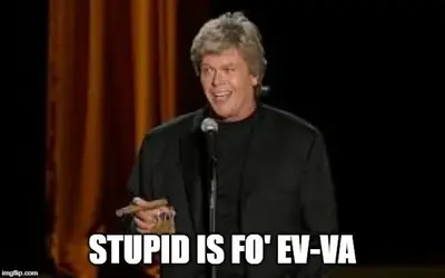 ron white stupid.webp