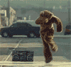 $dancing_bear-1.gif $dancing_bear-1.gif