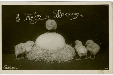 $happy-birthday-chicks-photo.jpg