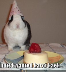 $funny-pictures-your-rabbit-wanted-carrot-cake-instead.jpg