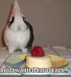 $funny-pictures-your-rabbit-wanted-carrot-cake-instead.webp